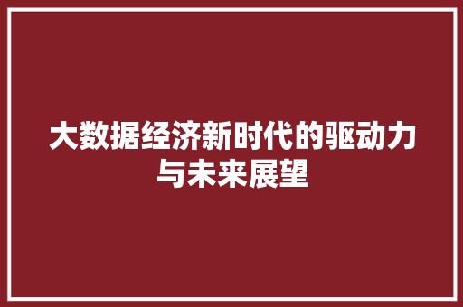 大数据经济新时代的驱动力与未来展望