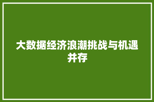 大数据经济浪潮挑战与机遇并存