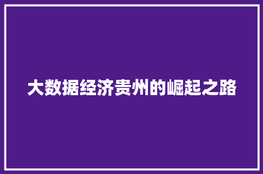 大数据经济贵州的崛起之路