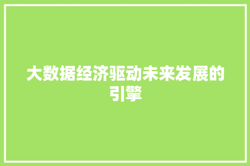 大数据经济驱动未来发展的引擎