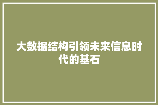 大数据结构引领未来信息时代的基石