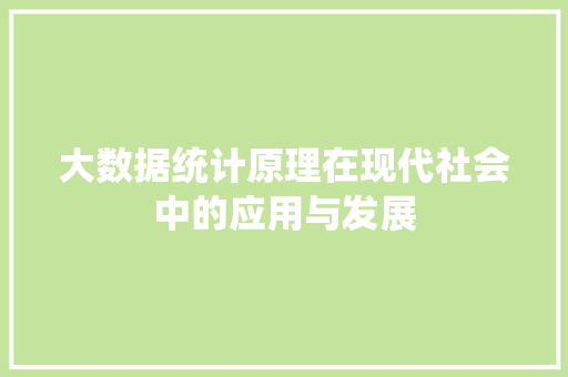 大数据统计原理在现代社会中的应用与发展