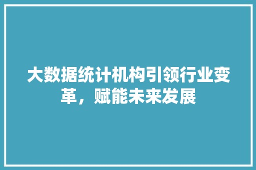 大数据统计机构引领行业变革，赋能未来发展 WordPress教程