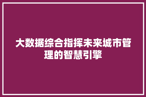 大数据综合指挥未来城市管理的智慧引擎