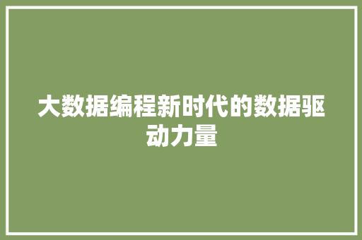 大数据编程新时代的数据驱动力量