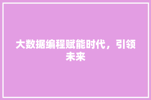 大数据编程赋能时代，引领未来 友链在线