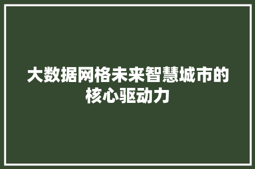 大数据网格未来智慧城市的核心驱动力 Web前端