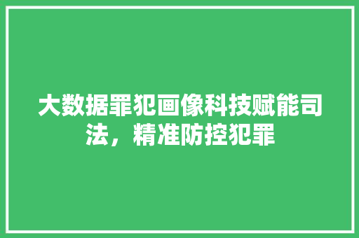 大数据罪犯画像科技赋能司法，精准防控犯罪