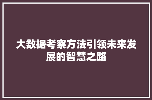 大数据考察方法引领未来发展的智慧之路