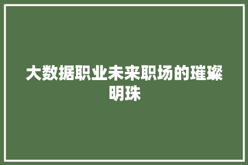 大数据职业未来职场的璀璨明珠