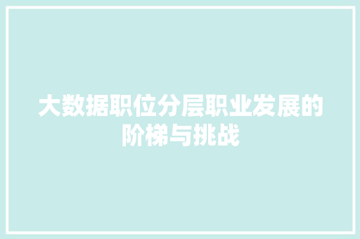 大数据职位分层职业发展的阶梯与挑战