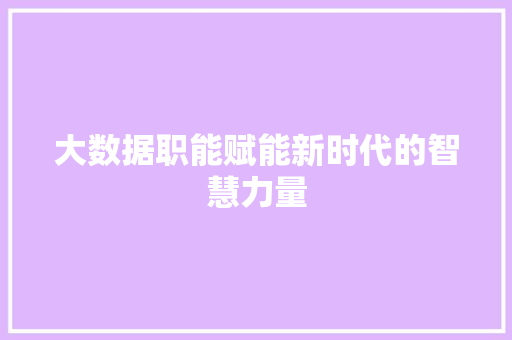 大数据职能赋能新时代的智慧力量