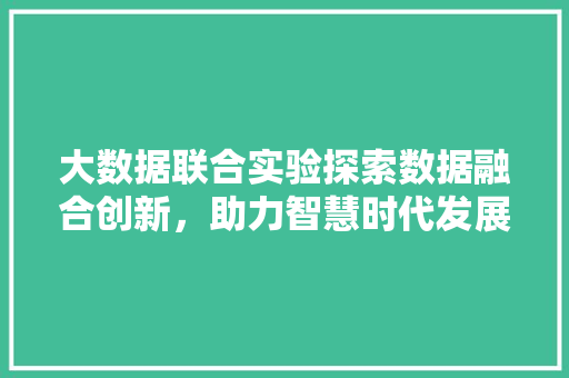大数据联合实验探索数据融合创新，助力智慧时代发展