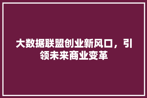 大数据联盟创业新风口，引领未来商业变革
