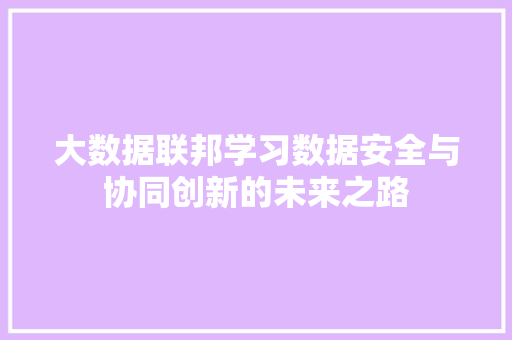 大数据联邦学习数据安全与协同创新的未来之路