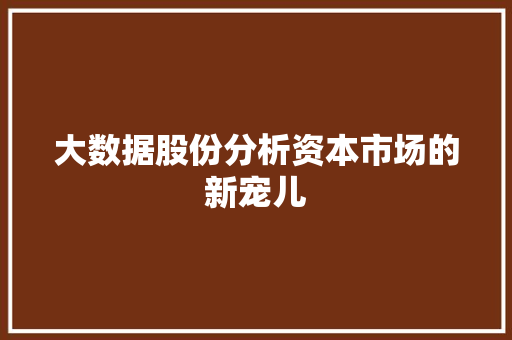 大数据股份分析资本市场的新宠儿
