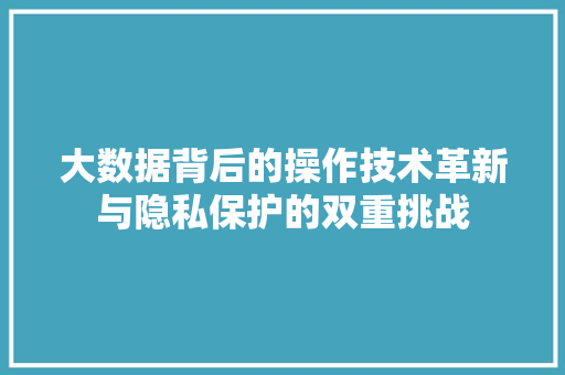 大数据背后的操作技术革新与隐私保护的双重挑战