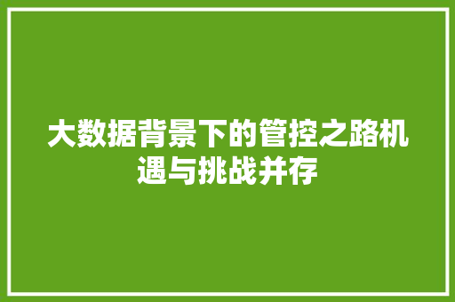 大数据背景下的管控之路机遇与挑战并存