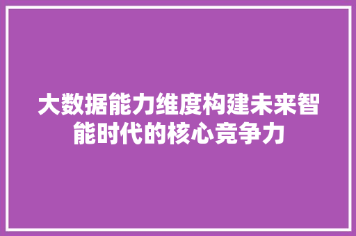 大数据能力维度构建未来智能时代的核心竞争力
