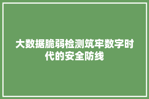 大数据脆弱检测筑牢数字时代的安全防线 SEO教程