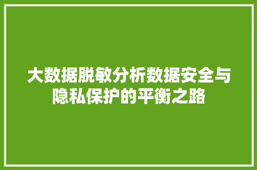 大数据脱敏分析数据安全与隐私保护的平衡之路 服务器/数据库