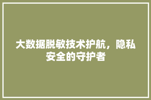 大数据脱敏技术护航，隐私安全的守护者 建站教程