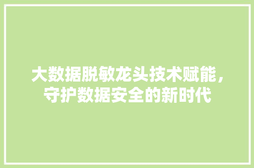 大数据脱敏龙头技术赋能，守护数据安全的新时代 SEO教程