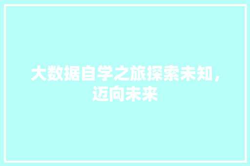 大数据自学之旅探索未知，迈向未来 服务器/数据库
