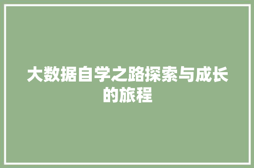 大数据自学之路探索与成长的旅程