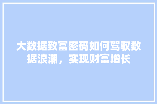 大数据致富密码如何驾驭数据浪潮，实现财富增长