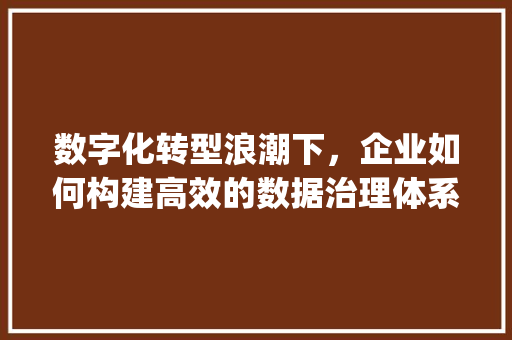 数字化转型浪潮下，企业如何构建高效的数据治理体系_以H网站模板源码为例