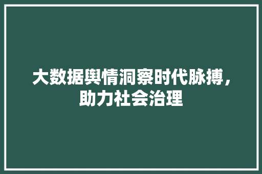 大数据舆情洞察时代脉搏，助力社会治理 友链在线