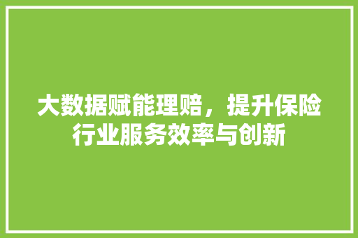 大数据赋能理赔，提升保险行业服务效率与创新