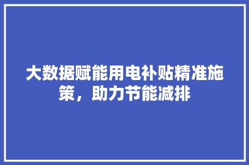 大数据赋能用电补贴精准施策，助力节能减排