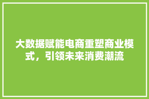大数据赋能电商重塑商业模式，引领未来消费潮流