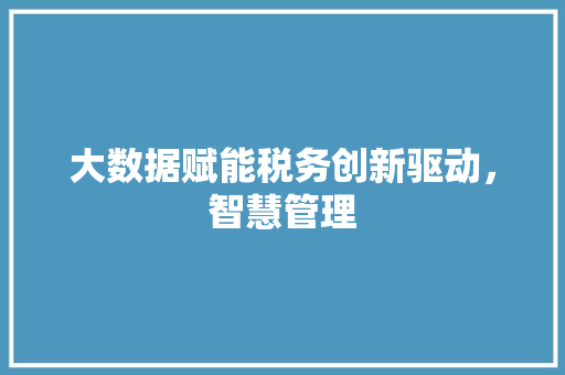 大数据赋能税务创新驱动，智慧管理