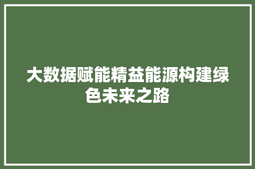 大数据赋能精益能源构建绿色未来之路