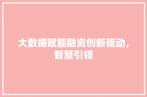 大数据赋能融资创新驱动，智慧引领
