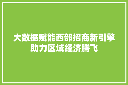 大数据赋能西部招商新引擎助力区域经济腾飞
