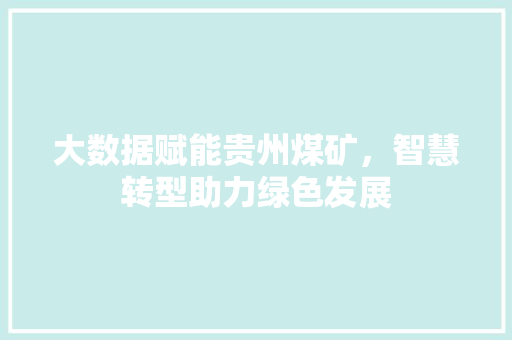 大数据赋能贵州煤矿，智慧转型助力绿色发展