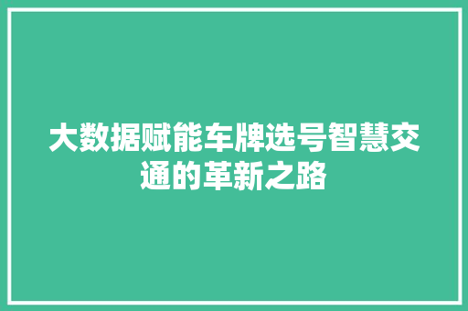 大数据赋能车牌选号智慧交通的革新之路