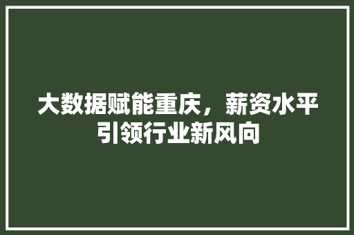 大数据赋能重庆，薪资水平引领行业新风向