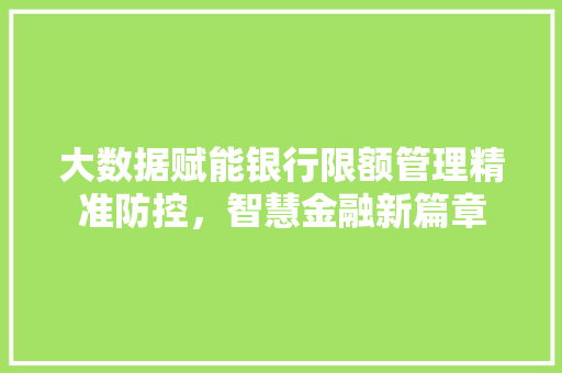 大数据赋能银行限额管理精准防控，智慧金融新篇章