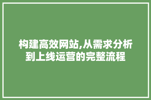 构建高效网站,从需求分析到上线运营的完整流程 构建高效网站,从需求分析到上线运营的完整流程 Web前端