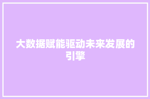 大数据赋能驱动未来发展的引擎