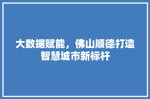 大数据赋能，佛山顺德打造智慧城市新标杆
