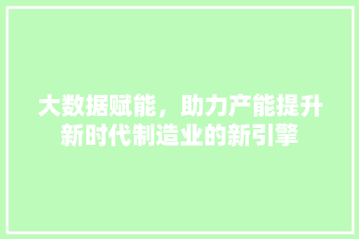 大数据赋能，助力产能提升新时代制造业的新引擎
