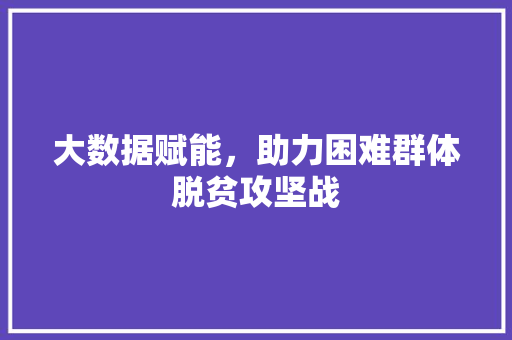 大数据赋能，助力困难群体脱贫攻坚战