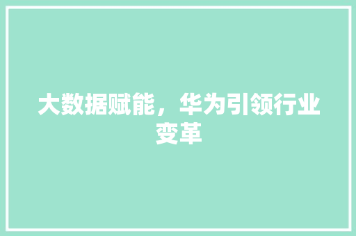 大数据赋能，华为引领行业变革