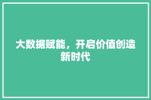 大数据赋能，开启价值创造新时代
